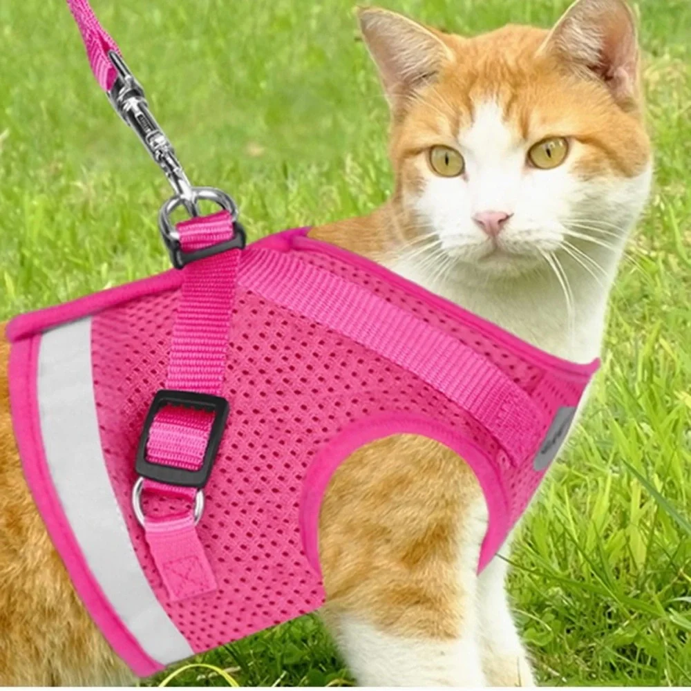 Kitten Harness w/ Leash Set, Escape Proof, Adjustable Reflective Soft Mesh Vest